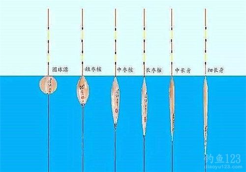 如何选择野钓鱼漂，野钓漂怎么选！