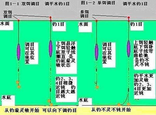 钓鱼如何正确浮漂高度，钓浮应该怎么调漂！