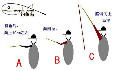 钓鱼如何收放杆子视频，钓鱼收杆是什么意思