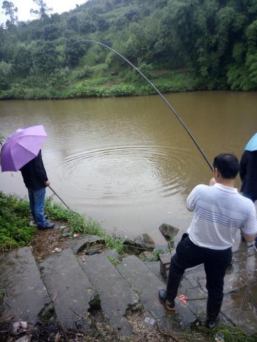 小雨天气如何钓鱼，小雨天气如何钓鱼视频！
