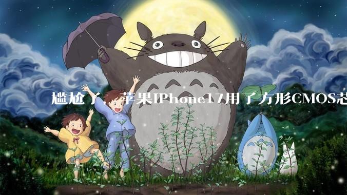 尴尬了，苹果iPhone17用了方形CMOS芯片，国产机马上学？_摄像头_手机_比例
