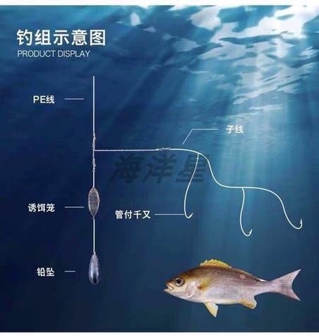 海钓鱼饵如何放？海钓鱼饵要沉到海底吗?？