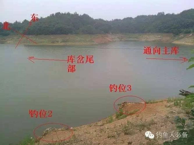 如何定制钓鱼水域？如何定制钓鱼水域图片？