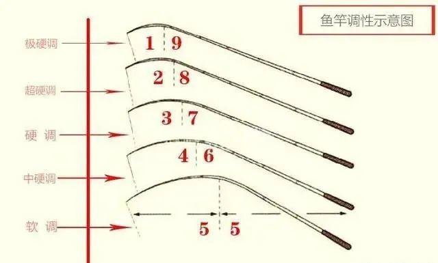 用综合竿如何钓鱼？综合竿怎么选？