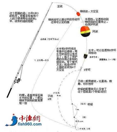 秋季路滑如何钓鱼？秋季滑漂钓鱼技巧？