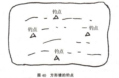 鱼塘钓鱼如何选浮漂？鱼塘钓鱼怎么选钓位？