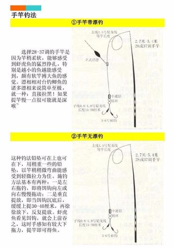 新手钓鱼如何下钩，新手钓鱼如何下钩视频教程