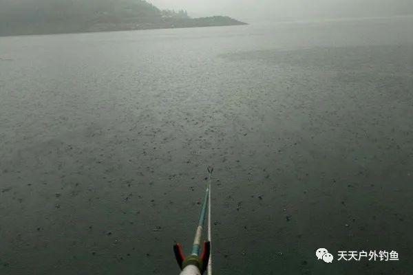 雨天大雾如何钓鱼，雨天大雾如何钓鱼呢！